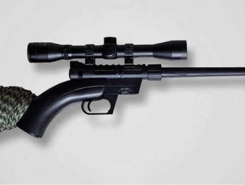Henry 22 lr survival